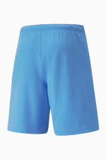 Шорты Puma teamRISE Junior