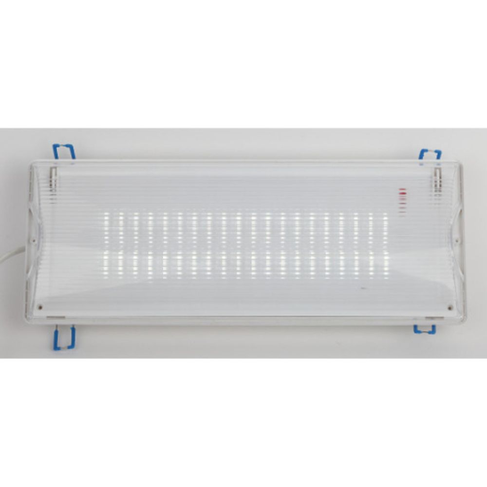 Аварийный светильник светодиодный ЭРА DPA-301-1-65 постоянный/непостоянный 40LED 3ч IP65