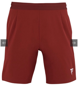 Tecnifibre, TEAM SHORT, Cardinal, L
