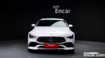 Mercedes-Benz AMG GT 4 даери 43 4MATIC+ (06.2020)