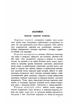 Опухоли верхней челюсти в клиническом отношении | Ратимов Василий Александрович