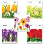 Тетрадь А5, 48 л., BRAUBERG ЭКО, клетка, обложка картон, ЦВЕТЫ 2, 401808