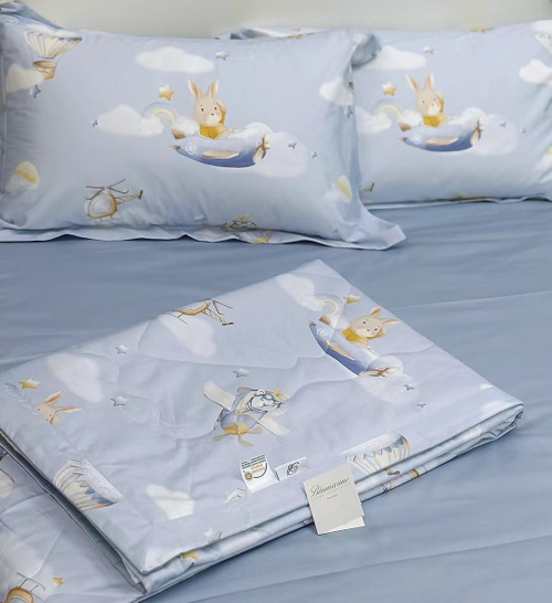 Детское постельное белье с одеялом Baby Flyboy