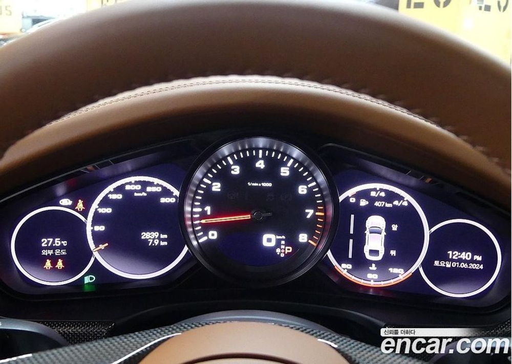 Porsche Panamera (971) 2.9 AWD Platinum Editions (07.2023)