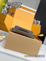 Louis Vuitton Multi Pochette Accessoires