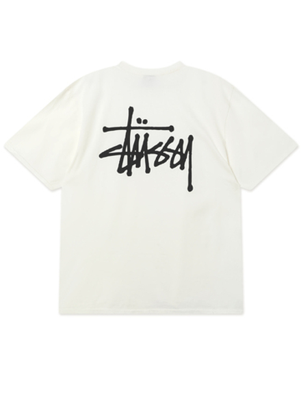 Мужская Футболка Basic Stussy Pig. Dyed