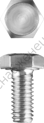 ЗУБР ГОСТ 7798-70 кл. пр. 5.8, M5 x 10 мм, болт оцинкованный, 5 кг (303080-05-010)