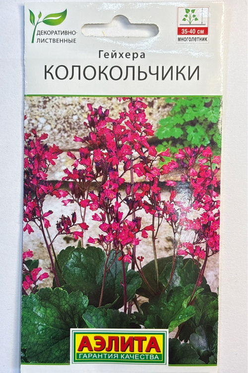 Гейхера Колокольчики СМЦ-815