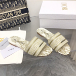 Christian Dior Dway Slide