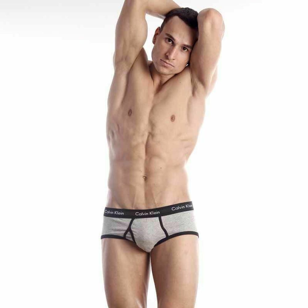 Мужские трусы брифы Calvin Klein 365 Grey Black Brief