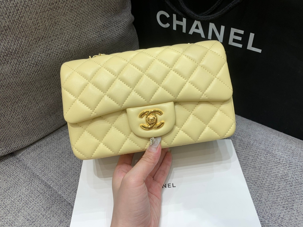 Chanel Bag 20 cm