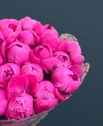 Пионы в фамеране