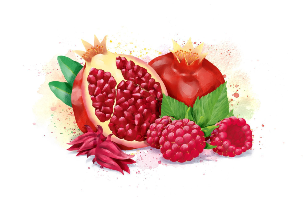 Основа для лимонадов и коктейлей WATSON SAYS Гранат - Малина - Гибискус 1кг