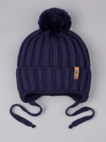 Шапка для мальчика осенняя на завязках