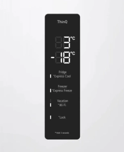 Холодильник LG GC-B459AQQW
