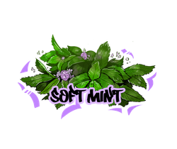 B3 - Soft Mint (250г)