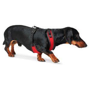 Шлейка для собак, Hunter Manoa XS (35-41 см), нейлон/сетчатый текстиль, красный