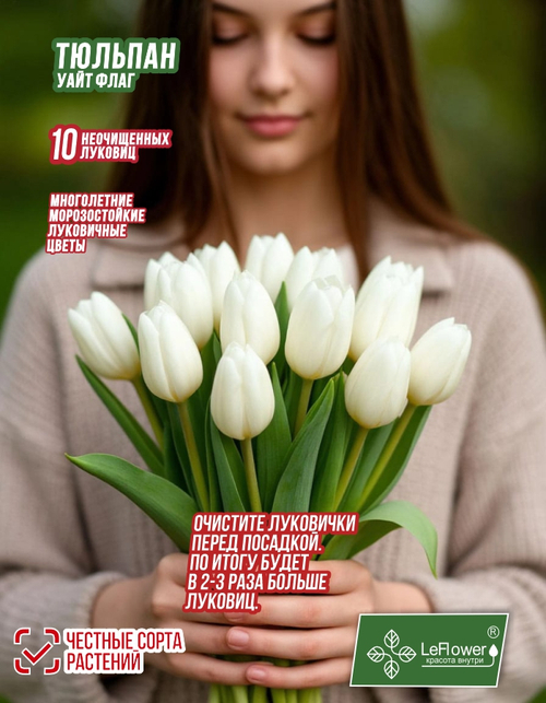 Тюльпан Луковица, Вайт Флаг, 10шт