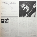 Larry Carlton / Sleepwalk (LP)