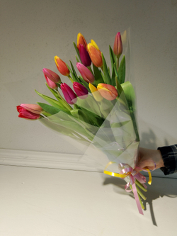 Букет из 35 тюльпанов