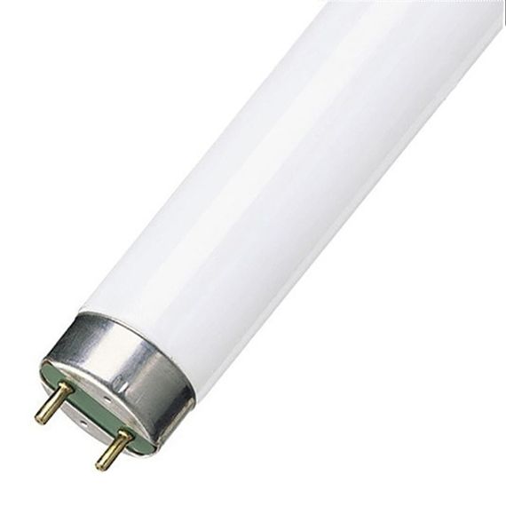 Лампа люминесцентная Osram L 18W/765 T8 18W 6500K G13 14542