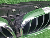Решетка радиатора BMW X3 G01 (2017-2021)