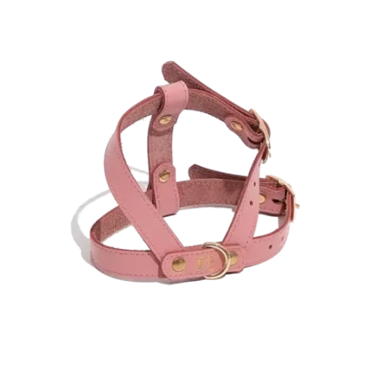 Шлейка кожаная MONO