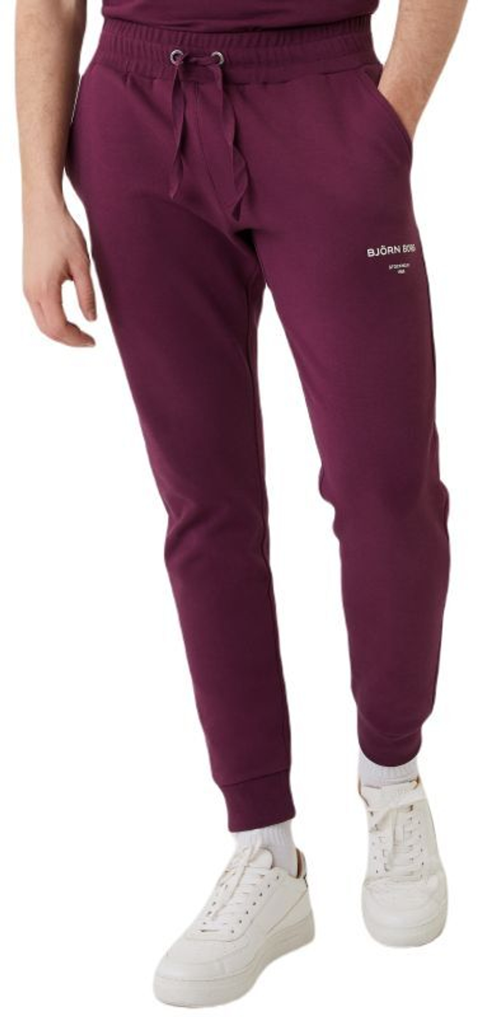 Мужские теннисные штаны Björn Borg Logo Pants - Фиолетовый