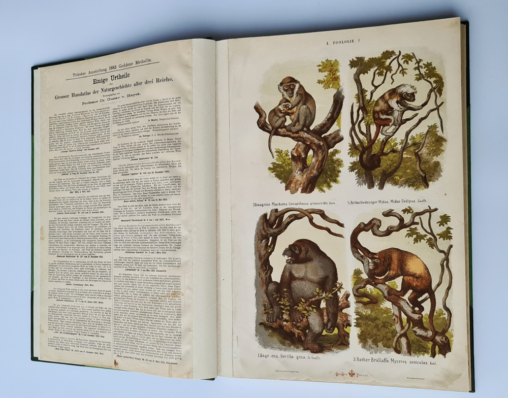 "Большой зоологический, ботанический и минералогический атлас : Handatlas der Naturgeschichte aller drei Reiche". Г. Хайек : Hayek, Gustav von. Grosser. 1888г. - антикварное издание