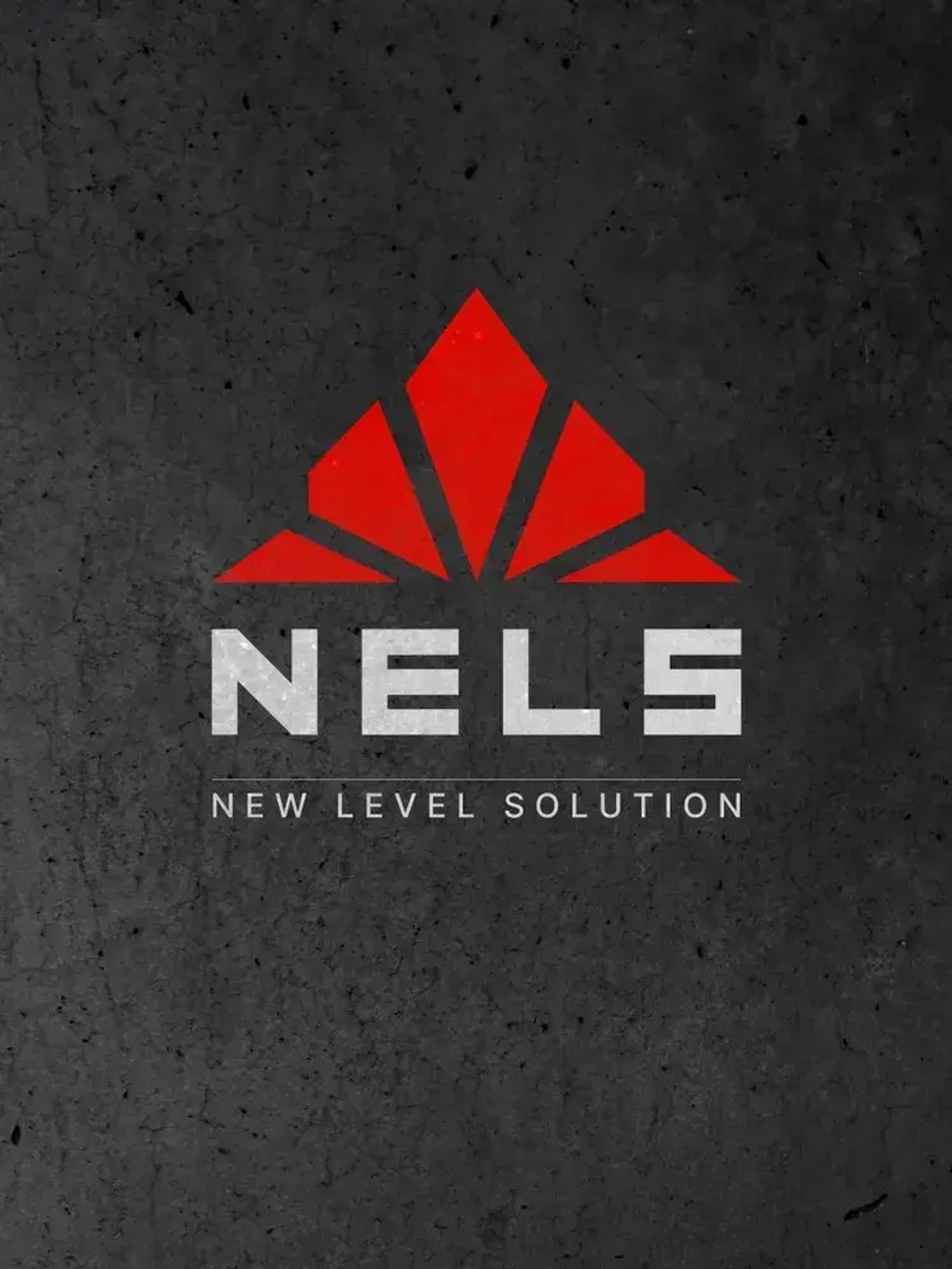 Огнебиозащитный состав для древесины NELS FIREBLOCK / антипирен для наружных и внутренних работ / 2 группа, красная / 10 л