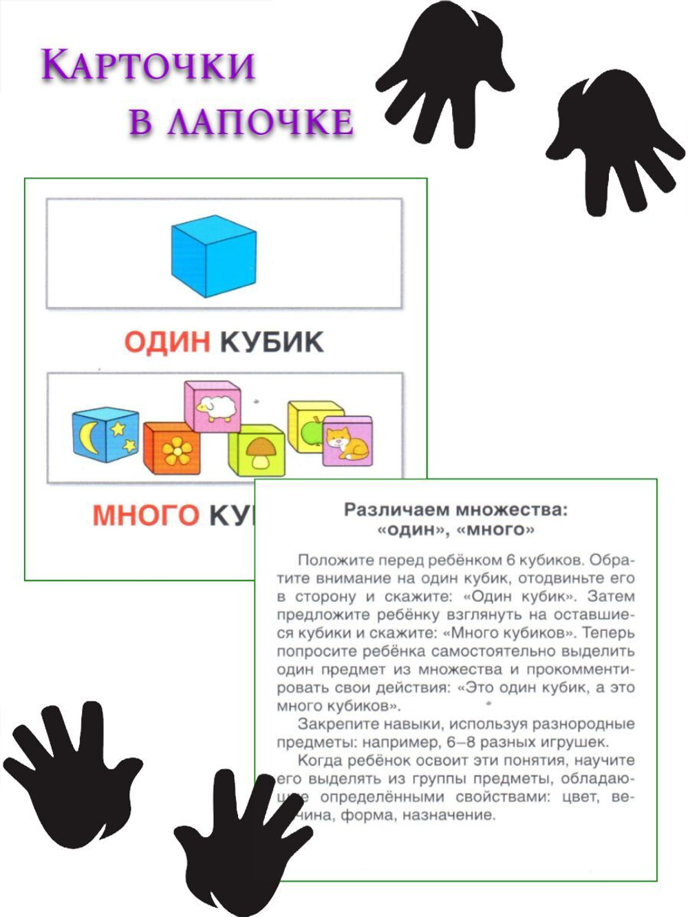 Карточки в лапочке. Финансы (33 карточки с заданием на обороте)