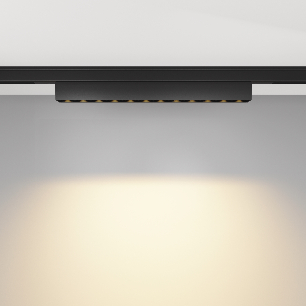 Магнитный трековый светильник Maytoni Points TR193-1-10W2.7K-M-B