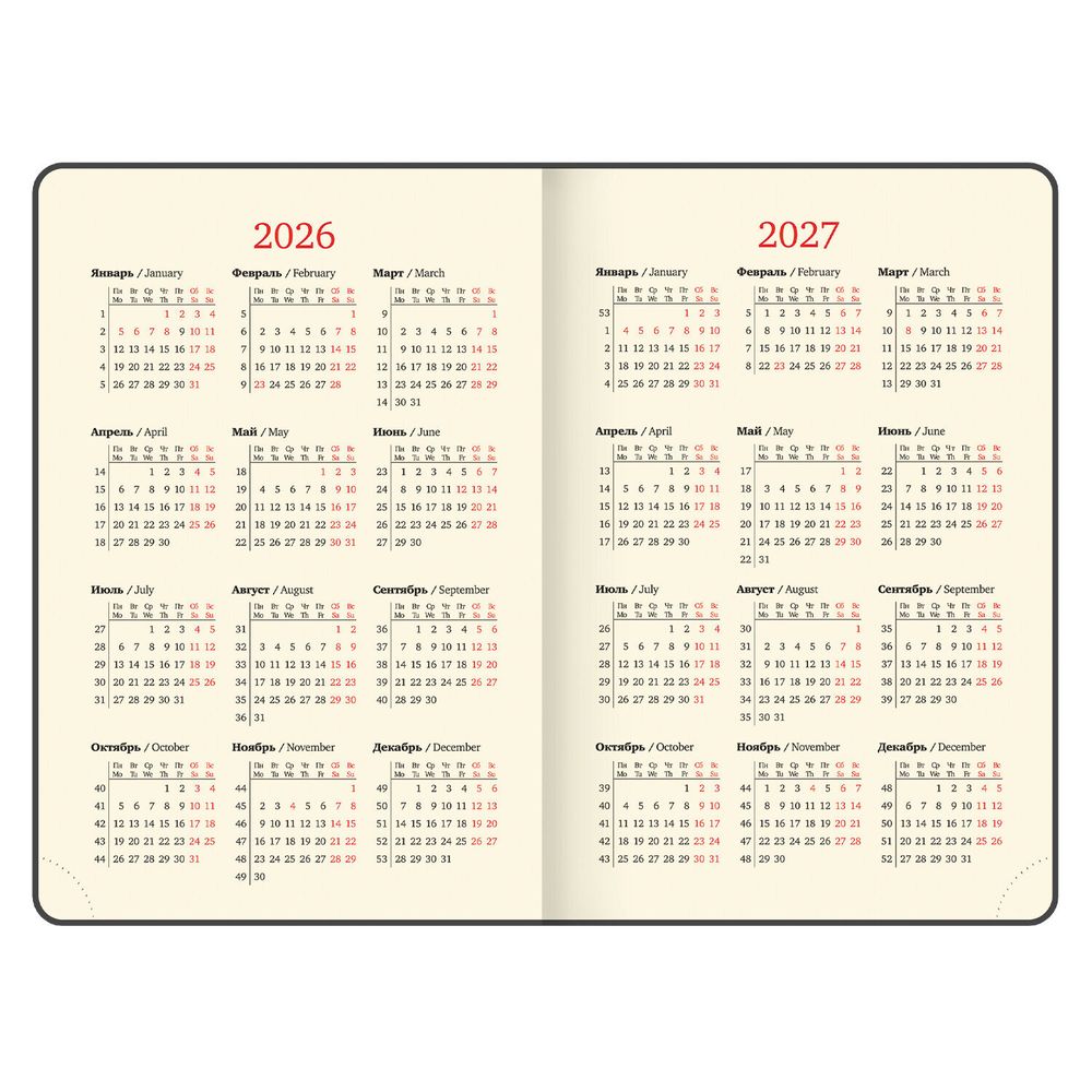 Ежедневник датированный А5 BRAUBERG "Jacket" розовый (117400) 4