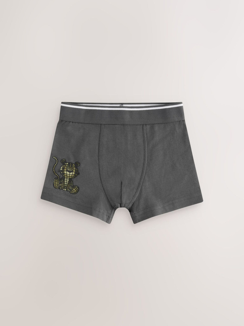 Трусы для мальчика Next E98-872, 5 шт., Серый, Хаки