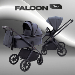 Детская коляска Rant Falcon Neo 3 в 1 с автокреслом Evomax Grey Graphite