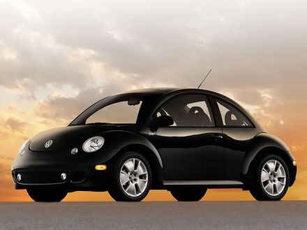 Beetle