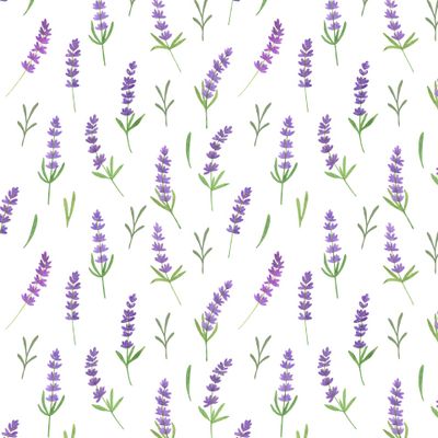 Цветы лаванды1