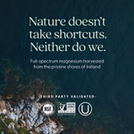 New Chapter, Magnesium + Selenium & Zinc, 30 Vegan Tablets