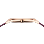 Наручные часы Bering 17031-969