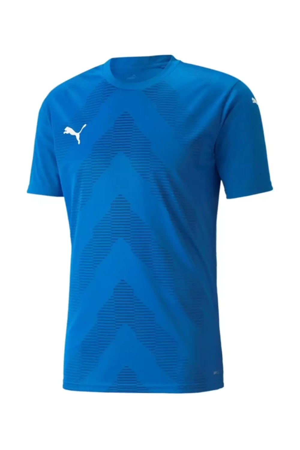 Футболка Puma teamGLORY