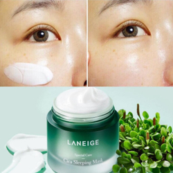 Laneige Special Care Cica Sleeping Mask ночная востанавливающая маска с центеллой