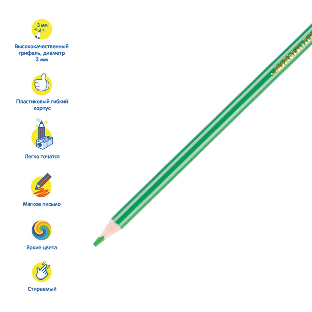 Карандаши цветные пластиковые стираемые Мульти-Пульти "Енот в Венеции", 24цв., с ласт., заточ., картон