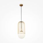 Подвесной светильник Maytoni P363PL-01G