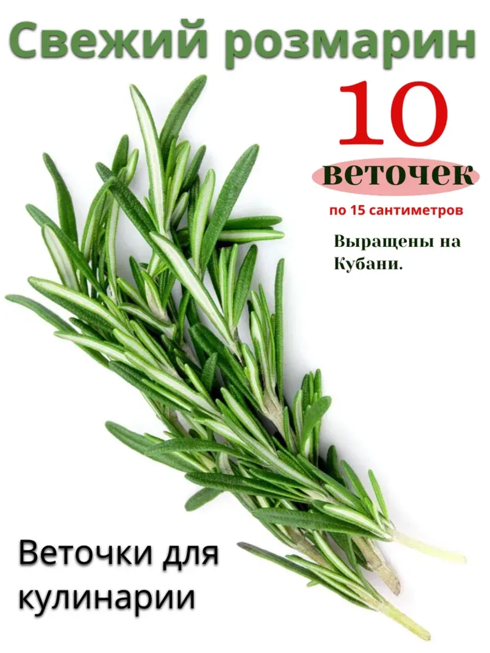 Розмарин веточки свежий Краснодарский