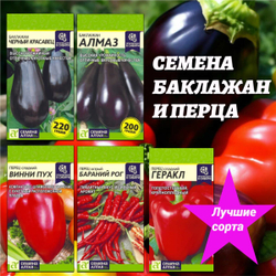 Семена баклажан и перца: лучшие сорта для выращивания в домашних условиях.