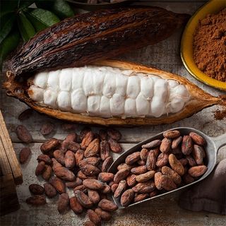 Какао деодорированное масло (цена за 1кг). Фасовка от 200 г