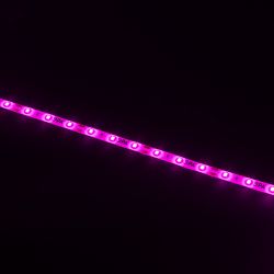 Светодиодная лента для растений ЭРА FITO-Strip Light-RB-45W-5m-12V-IP65 красно-синего спектра 5м IP65 с адаптером 12V