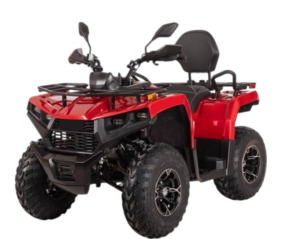 Квадроцикл Bizon YK200 BASIC CARB