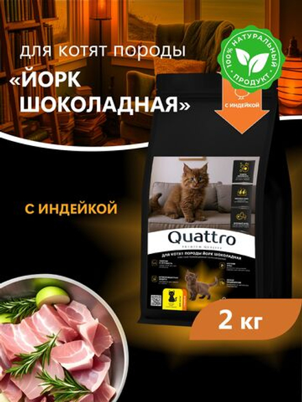 Корм сухой для котят породы Йорк шоколадная, с индейкой, 2кг, QUATTRO