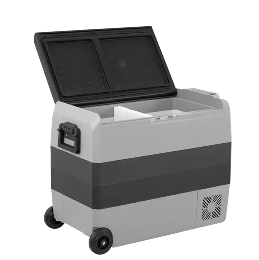 Alpicool T60 (60л). Двухкамерный 12/24/110/220В